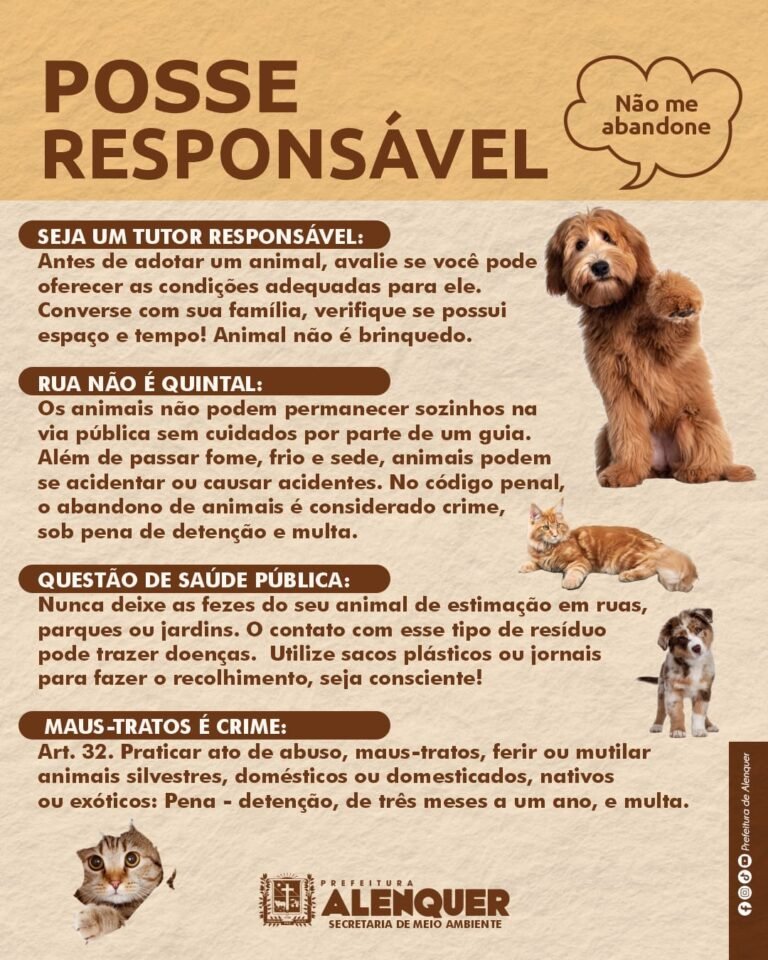 A posse responsável de animais domésticos é um dever que todos os donos de pets devem assumir.